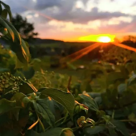 Waldblick Mit Pool Und Kinderspielplatz Dippoldiswalde