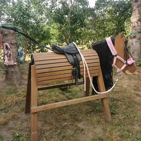 Waldblick Mit Pool Und Kinderspielplatz * Dippoldiswalde