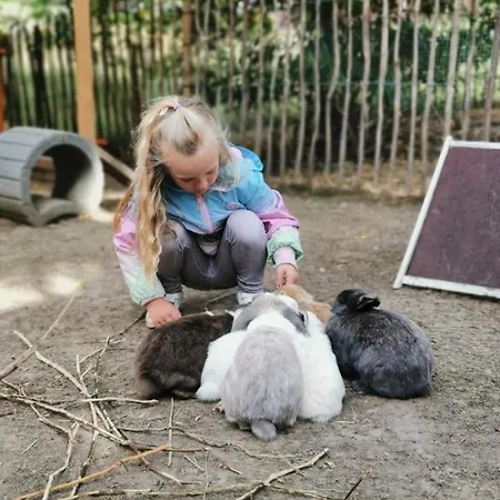 Waldblick Mit Pool Und Kinderspielplatz Dippoldiswalde